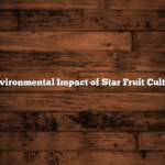 The Environmental Impact of Star Fruit Cultivation